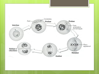 Nuno Correia 2011/12
 