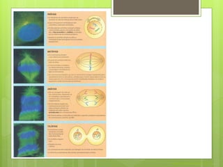 Nuno Correia 2011/12
 