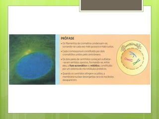 Nuno Correia 2011/12
 