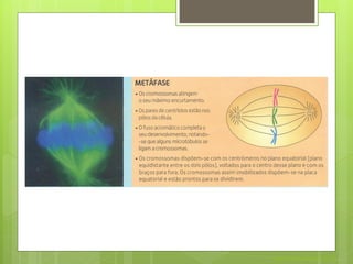Nuno Correia 2011/12
 