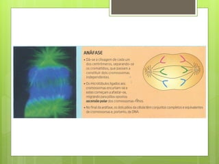 Nuno Correia 2011/12
 