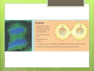 Nuno Correia 2011/12
 