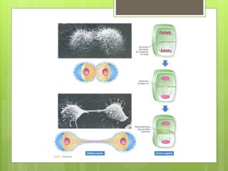 Nuno Correia 2011/12
 