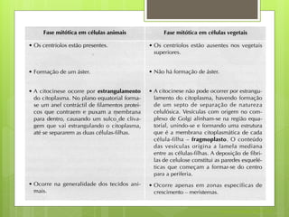 Nuno Correia 2011/12
 