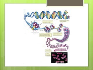Nuno Correia 2011/12
 