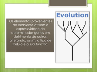 Os elementos provenientes
  do ambiente ativam a
     expressividade de
 determinados genes em
   detrimento de outros,
alterando, assim, o tipo de
  célula e a sua função.




                              Nuno Correia 2011/12
 