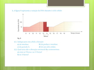 Nuno Correia 2011/12
 