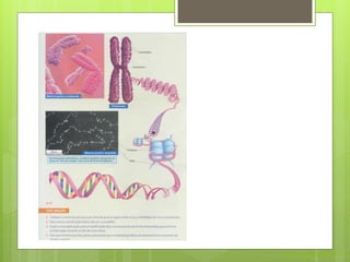 Nuno Correia 2011/12
 