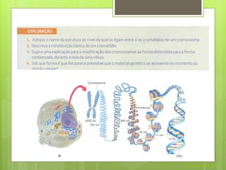 Nuno Correia 2011/12
 