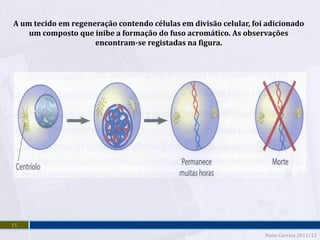 A um tecido em regeneração contendo células em divisão celular, foi adicionado
    um composto que inibe a formação do fuso acromático. As observações
                     encontram-se registadas na figura.




15
                                                                   Nuno Correia 2011/12
 