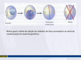 Refira qual o efeito da adição do inibidor do fuso acromático ao nível da
     condensação do material genético.




16
                                                                     Nuno Correia 2011/12
 