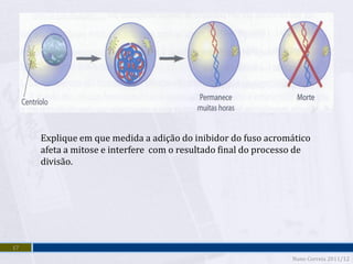 Explique em que medida a adição do inibidor do fuso acromático
     afeta a mitose e interfere com o resultado final do processo de
     divisão.




17
                                                               Nuno Correia 2011/12
 