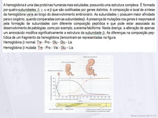 24
     Nuno Correia 2011/12
 