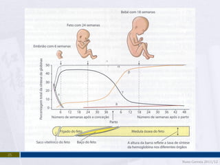 25
     Nuno Correia 2011/12
 