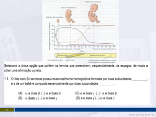 26
     Nuno Correia 2011/12
 