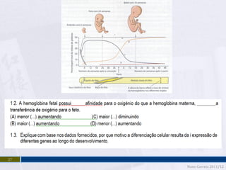 27
     Nuno Correia 2011/12
 