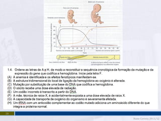 28
     Nuno Correia 2011/12
 
