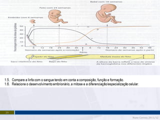 29
     Nuno Correia 2011/12
 