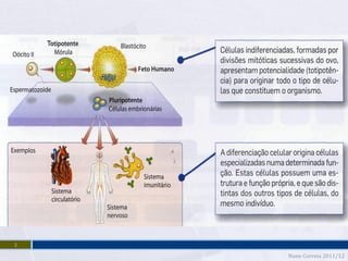 3
    Nuno Correia 2011/12
 