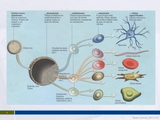 4
    Nuno Correia 2011/12
 