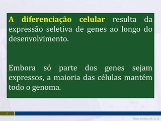 A diferenciação celular resulta da
    expressão seletiva de genes ao longo do
    desenvolvimento.


    Embora só parte dos genes sejam
    expressos, a maioria das células mantém
    todo o genoma.


5
                                     Nuno Correia 2011/12
 