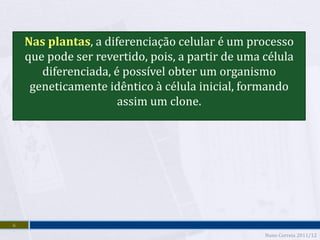 Nas plantas, a diferenciação celular é um processo
    que pode ser revertido, pois, a partir de uma célula
       diferenciada, é possível obter um organismo
     geneticamente idêntico à célula inicial, formando
                      assim um clone.




6
                                                  Nuno Correia 2011/12
 