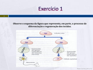 8



    Observe o esquema da figura que representa, em parte, o processo de
                 diferenciação e regeneração dos tecidos.




                                                              Nuno Correia 2011/12
 
