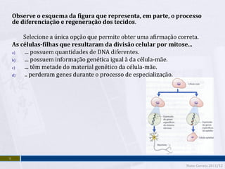 Observe o esquema da figura que representa, em parte, o processo
    de diferenciação e regeneração dos tecidos.

        Selecione a única opção que permite obter uma afirmação correta.
    As células-filhas que resultaram da divisão celular por mitose...
    a)  ... possuem quantidades de DNA diferentes.
    b)  ... possuem informação genética igual à da célula-mãe.
    c)  ... têm metade do material genético da célula-mãe.
    d)  .. perderam genes durante o processo de especialização.




9
                                                                   Nuno Correia 2011/12
 