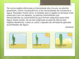 13


"Se numa região diminuísse a intensidade das chuvas, as plantas
passariam, como consequência, a ter necessidade de conservar a
água. Passados muitos anos, à medida que a região se tornasse mais
parecida com um deserto, as plantas transmitiriam aos
descendentes as características que tinham adquirido para reter
água. Deste modo, ter-se-iam originado as plantas típicas das
regiões desérticas, como os catos, capazes de armazenar grandes
quantidades de água."
                                                            Lamarck




                                                        Nuno Correia 2011/12
 