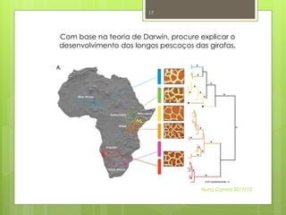 17




Com base na teoria de Darwin, procure explicar o
desenvolvimento dos longos pescoços das girafas.




                                      Nuno Correia 2011/12
 