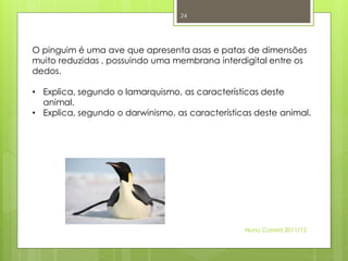 24




O pinguim é uma ave que apresenta asas e patas de dimensões
muito reduzidas , possuindo uma membrana interdigital entre os
dedos.

• Explica, segundo o lamarquismo, as características deste
  animal.
• Explica, segundo o darwinismo, as características deste animal.




                                                 Nuno Correia 2011/12
 