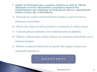 2. Analise as afirmações que se seguem, relativas ao ciclo de vida de
Mythymna convecta. Reconstitua a sequência temporal dos
acontecimentos que culminam na formação de um ovo, colocando por
ordem as letras que os identificam.
A - Formação do casulo e desenvolvimento da pupa, à custa de reservas
alimentares acumuladas.
B - Meiose das células da linha germinativa e formação de células sexuais.
C - União de gâmetas haplóides com restabelecimento da diploidia.
D - Mitoses e diferenciação celular originam um organismo pluricelular, que se
alimenta da planta.
E - Mitoses e expressão diferencial do genoma dão origem à forma com
capacidade reprodutora.
D  A  E  B  C
11Nuno Correia 10/11
 
