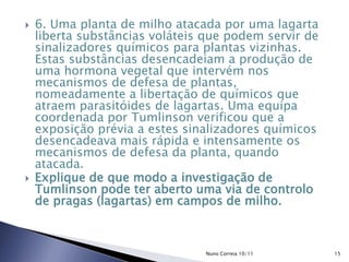  6. Uma planta de milho atacada por uma lagarta
liberta substâncias voláteis que podem servir de
sinalizadores químicos para plantas vizinhas.
Estas substâncias desencadeiam a produção de
uma hormona vegetal que intervém nos
mecanismos de defesa de plantas,
nomeadamente a libertação de químicos que
atraem parasitóides de lagartas. Uma equipa
coordenada por Tumlinson verificou que a
exposição prévia a estes sinalizadores químicos
desencadeava mais rápida e intensamente os
mecanismos de defesa da planta, quando
atacada.
 Explique de que modo a investigação de
Tumlinson pode ter aberto uma via de controlo
de pragas (lagartas) em campos de milho.
15Nuno Correia 10/11
 