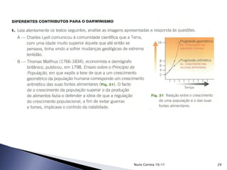 29Nuno Correia 10/11
 
