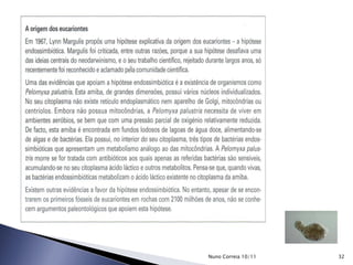 32Nuno Correia 10/11
 