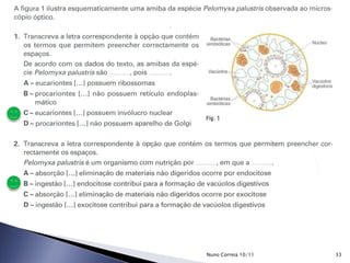 33Nuno Correia 10/11
 