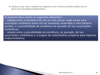 A resposta deve conter os seguintes elementos:
• relação entre a existência de um ser vivo actual, onde existe uma
associação simbiótica entre um ser unicelular anaeróbio e uma bactéria
aeróbia, e a possibilidade de existência no passado de tais associações
simbióticas;
• relação entre a possibilidade de existência, no passado, de tais
associações simbióticas e a origem de mitocôndrias proposta pela hipótese
endossimbiótica.
36Nuno Correia 10/11
 
