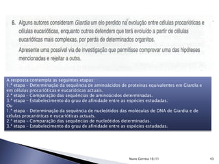 A resposta contempla as seguintes etapas:
1.ª etapa – Determinação da sequência de aminoácidos de proteínas equivalentes em Giardia e
em células procarióticas e eucarióticas actuais.
2.ª etapa – Comparação das sequências de aminoácidos determinadas.
3.ª etapa – Estabelecimento do grau de afinidade entre as espécies estudadas.
Ou
1.ª etapa – Determinação da sequência de nucleótidos das moléculas de DNA de Giardia e de
células procarióticas e eucarióticas actuais.
2.ª etapa – Comparação das sequências de nucleótidos determinadas.
3.ª etapa – Estabelecimento do grau de afinidade entre as espécies estudadas.
43Nuno Correia 10/11
 