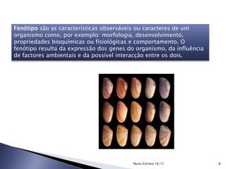 Fenótipo são as características observáveis ou caracteres de um
organismo como, por exemplo: morfologia, desenvolvimento,
propriedades bioquímicas ou fisiológicas e comportamento. O
fenótipo resulta da expressão dos genes do organismo, da influência
de factores ambientais e da possível interacção entre os dois.
8Nuno Correia 10/11
 