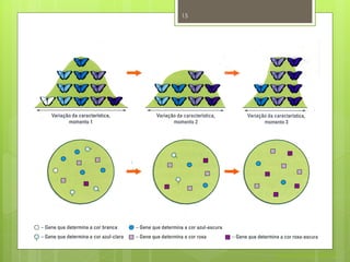 15




     Nuno Correia 2011/12
 