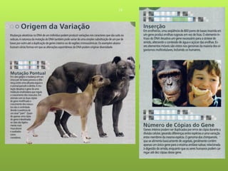 19




     Nuno Correia 09/10
 