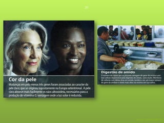 20




     Nuno Correia 09/10
 