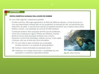 24




     Nuno Correia 2011/12
 