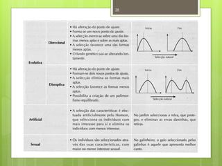 28




     Nuno Correia 2011/12
 