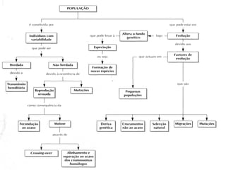 29




     Nuno Correia 2011/12
 