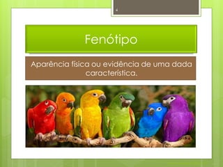 4




             Fenótipo
Aparência física ou evidência de uma dada
               característica.




                                  Nuno Correia 2011/12
 