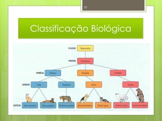 Biologia 11   sistemas de classificação