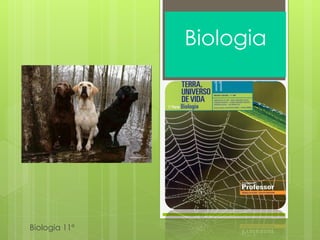Biologia




Biologia 11º
 