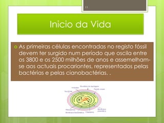 11




            Inicio da Vida

 Asprimeiras células encontradas no registo fóssil
 devem ter surgido num período que oscila entre
 os 3800 e os 2500 milhões de anos e assemelham-
 se aos actuais procariontes, representados pelas
 bactérias e pelas cianobactérias. .




                                         Nuno Correia 2011/12
 