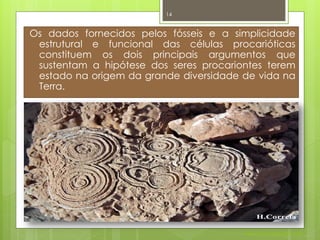 14


Os dados fornecidos pelos fósseis e a simplicidade
 estrutural e funcional das células procarióticas
 constituem os dois principais argumentos que
 sustentam a hipótese dos seres procariontes terem
 estado na origem da grande diversidade de vida na
 Terra.




                                        Nuno Correia 2011/12
 